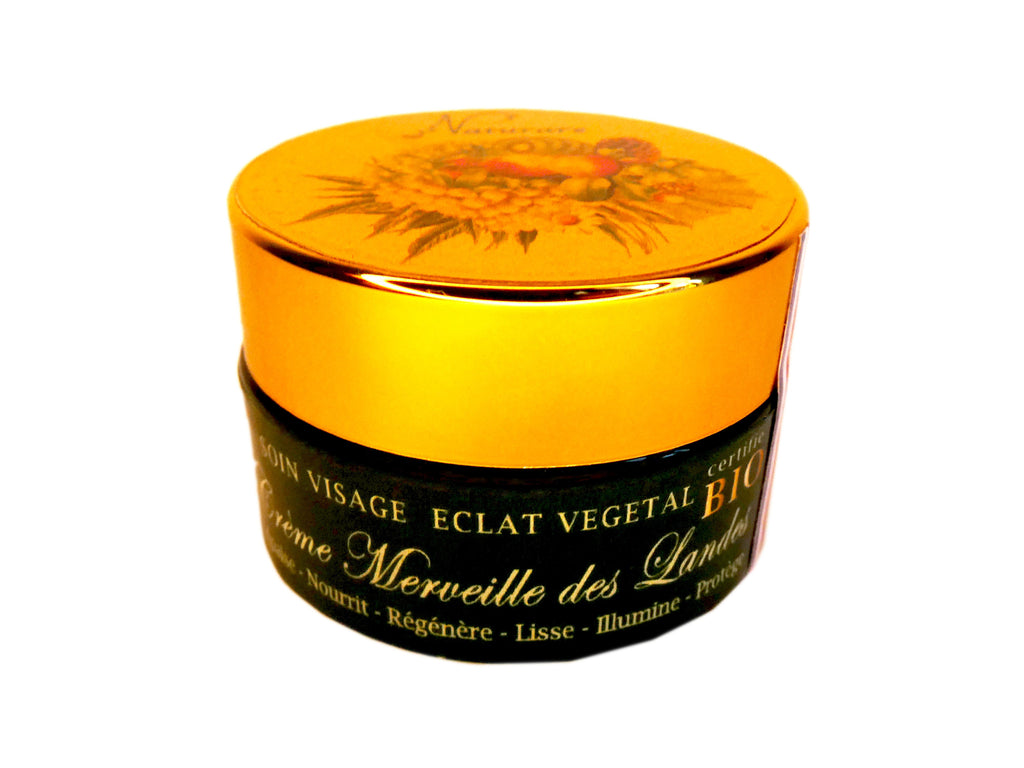 ORGANIC TRAVEL PACK - Complete Regeneration Skincare Set IN &amp; OUT 