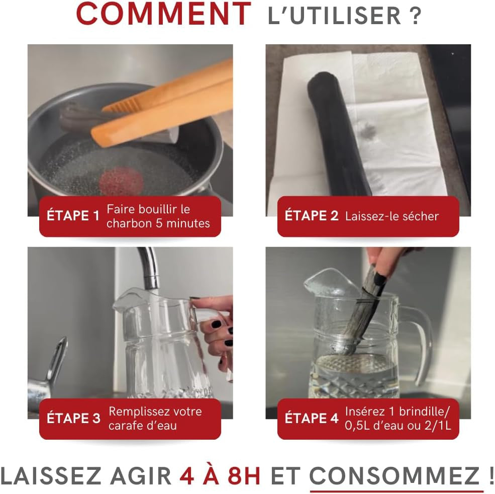 2-pack of French vegetable charcoal filter sticks for water bottles and carafes